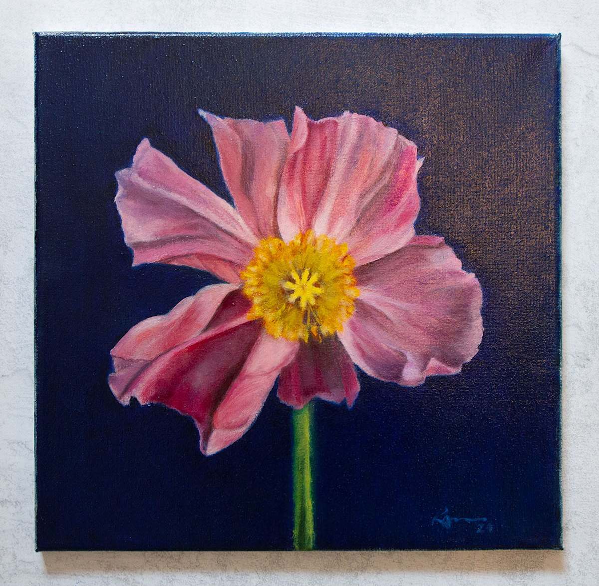 Singular Pink Poppy by Rachael Ryan 