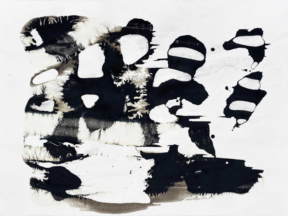 02222022-3 Chawan Landscapes by Philippe Nault 