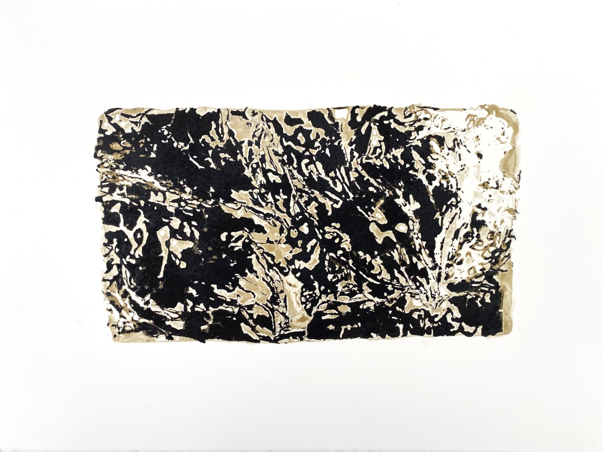 03282023-4 by Philippe Nault 