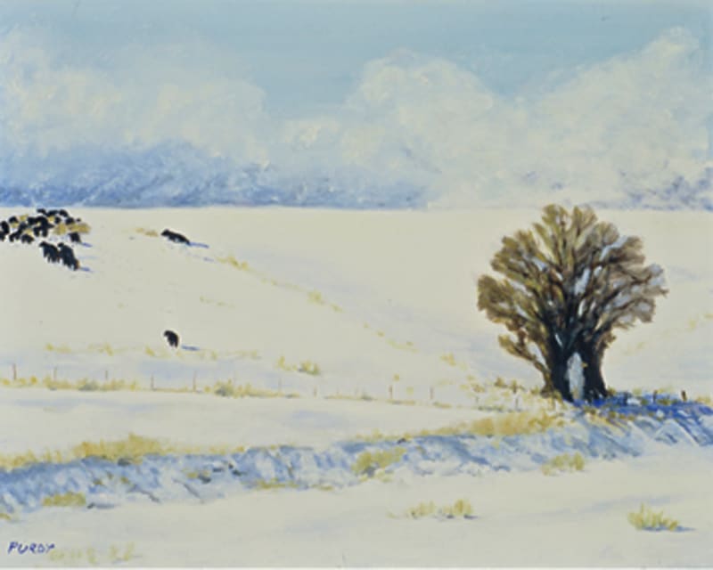 Late Afternoon Feeding by Lisa Purdy, Image 1.
