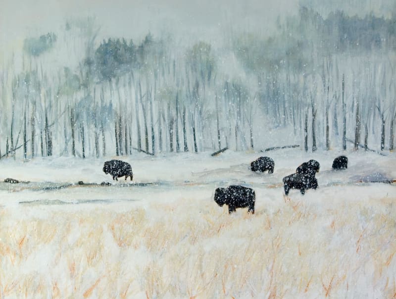 Buffalo in Snow (framed) by Lisa Purdy, Image 1.