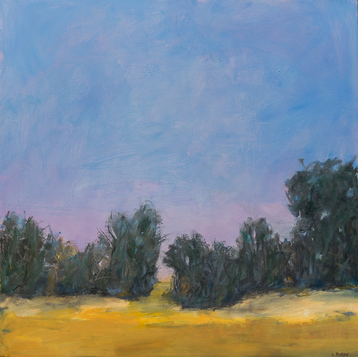 Soft Sunset, Image 2.