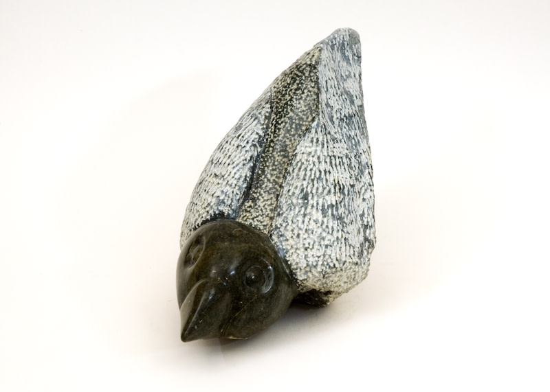 Haya Bird by Lisa Purdy 