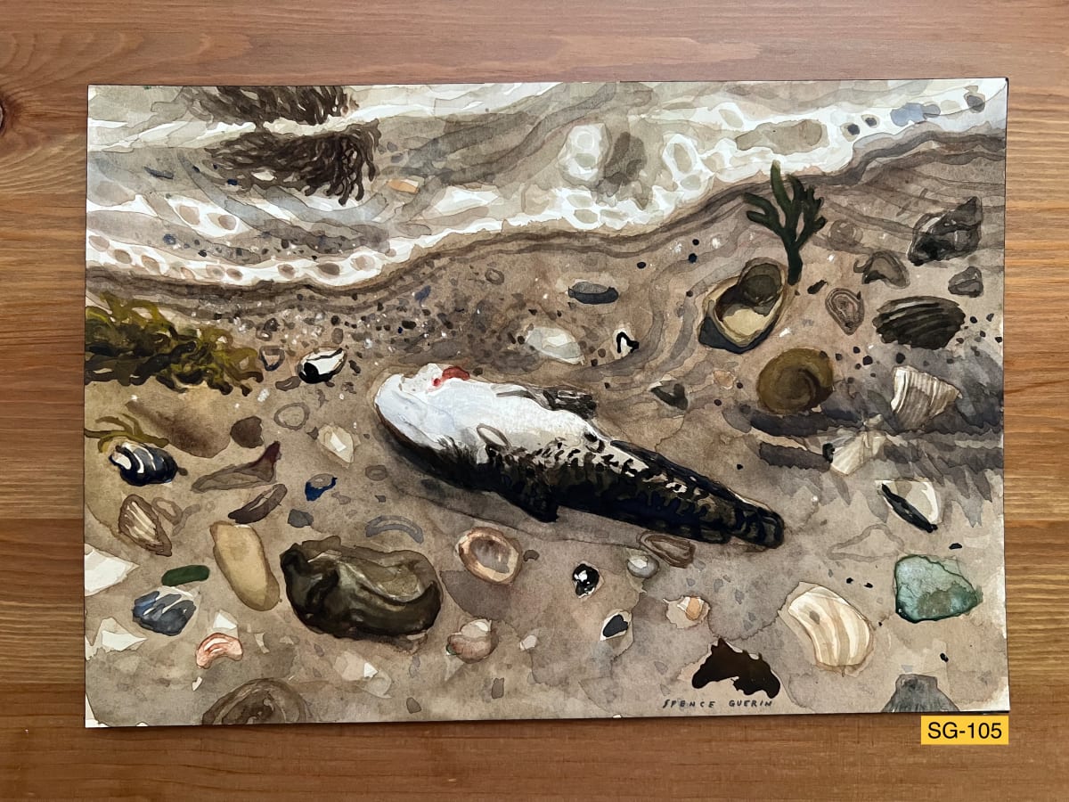 Small Dead Fish by Spence Guerin, Image 1.