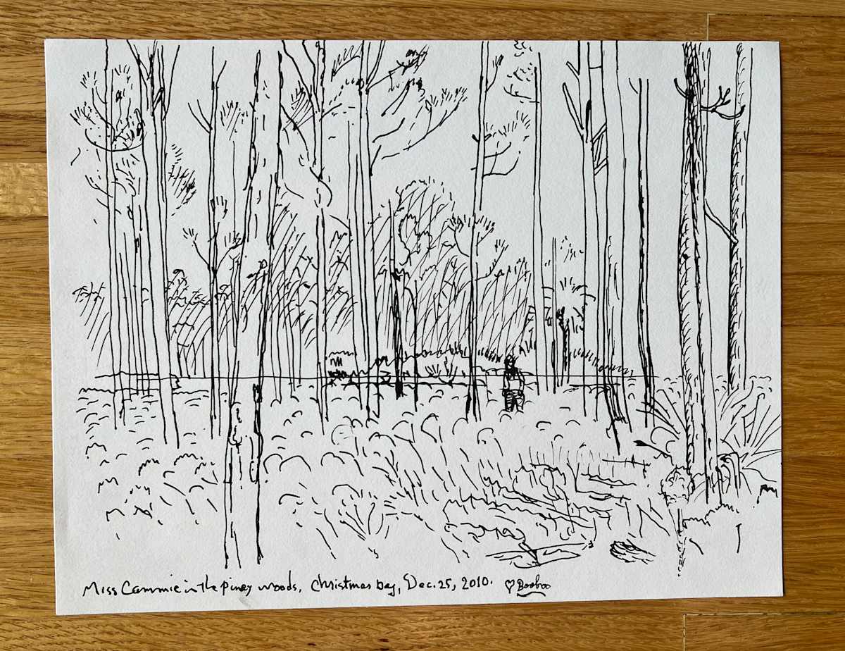 Miss Cammie in the piney woods, Christmas Day, Dec. 25, 2010 Love, Booboo by Spence Guerin 