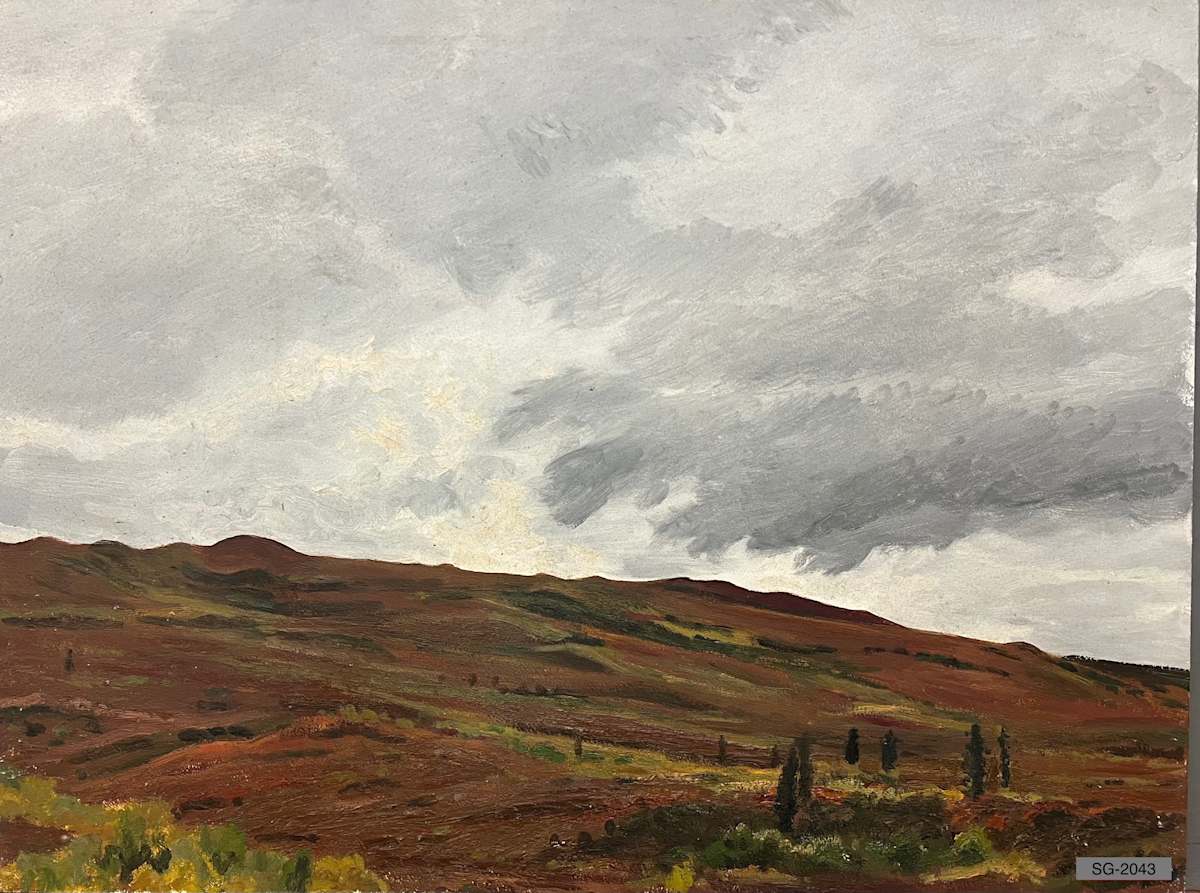 Untitled (AK landscape with gray clouds) by Spence Guerin 