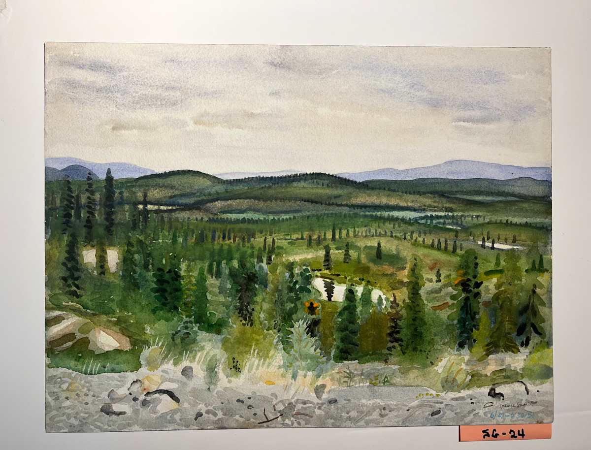 Summertime, Denali Highway, Alaska by Spence Guerin  Image: Mid-summer in interior Alaska,  likely rain in the forecast.