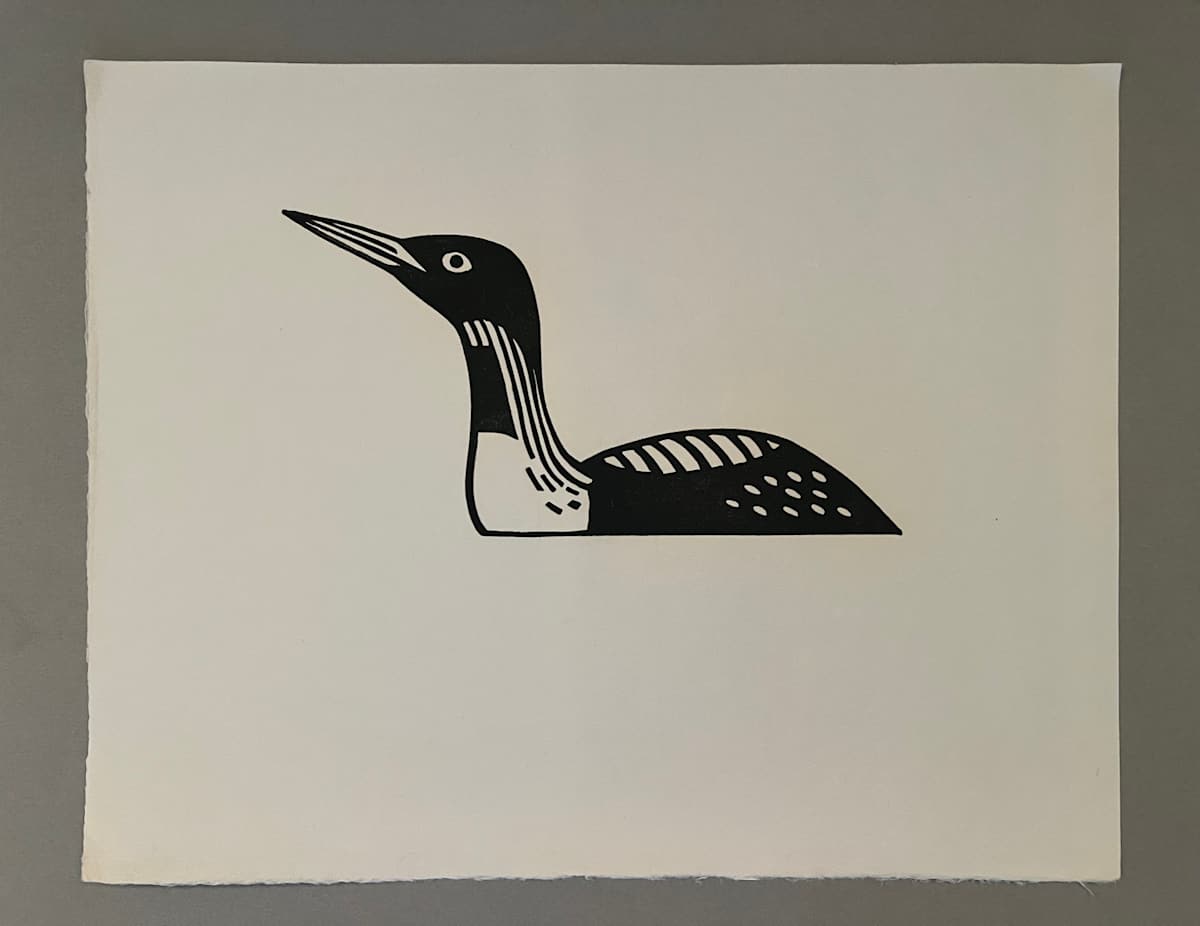 Loon by Spence Guerin 