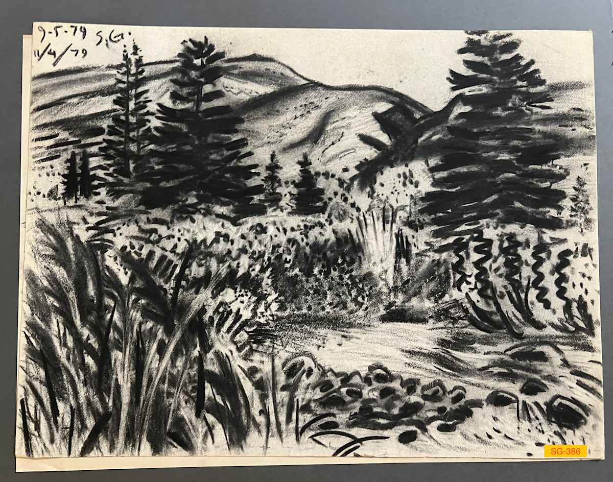 Mountain Landscape with Spruce and Stream by Spence Guerin 