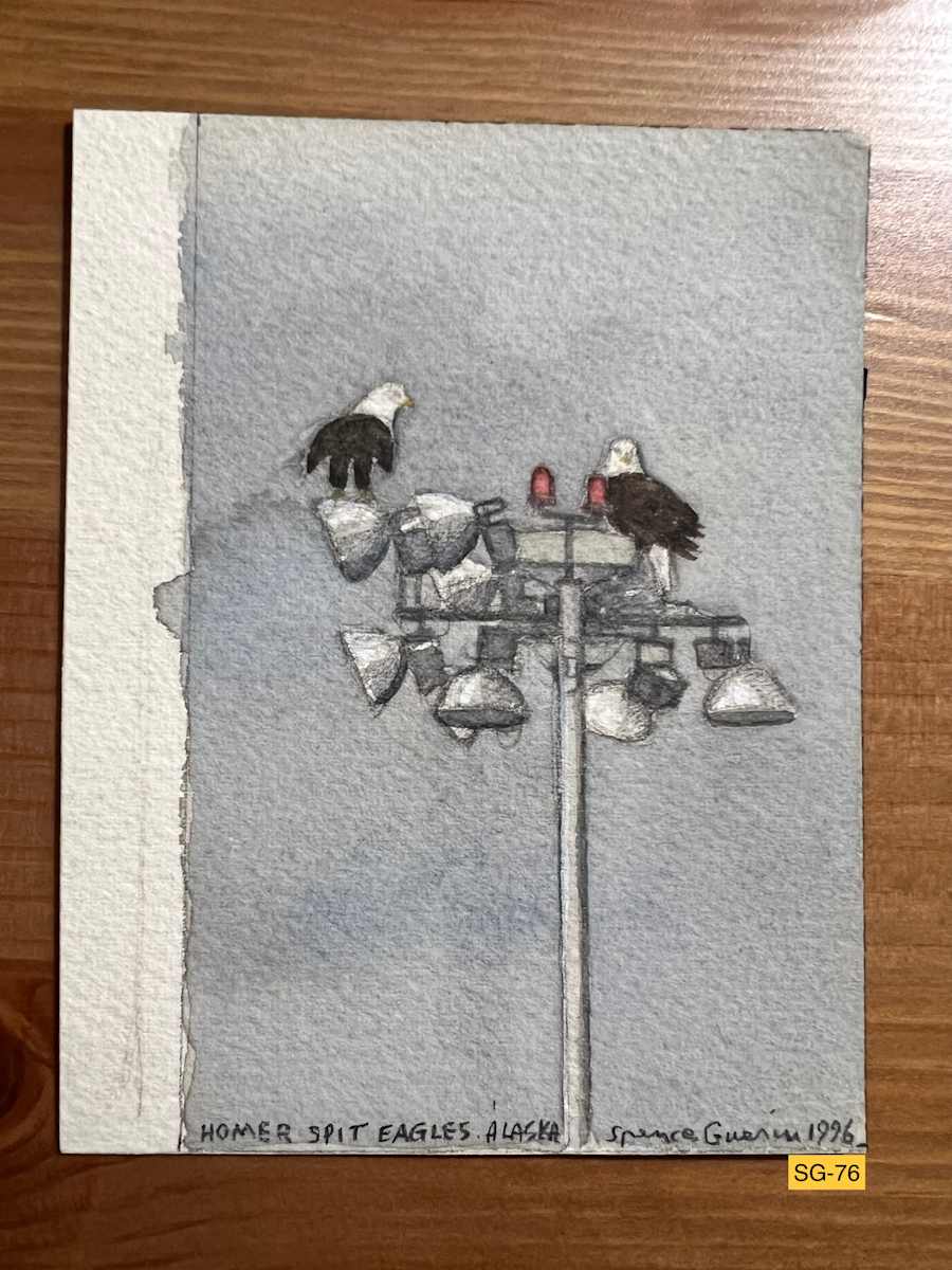 Homer Spit Eagles Alaska by Spence Guerin 