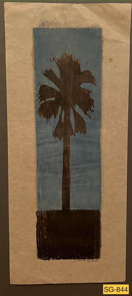 Washingtonian Palm by Spence Guerin 