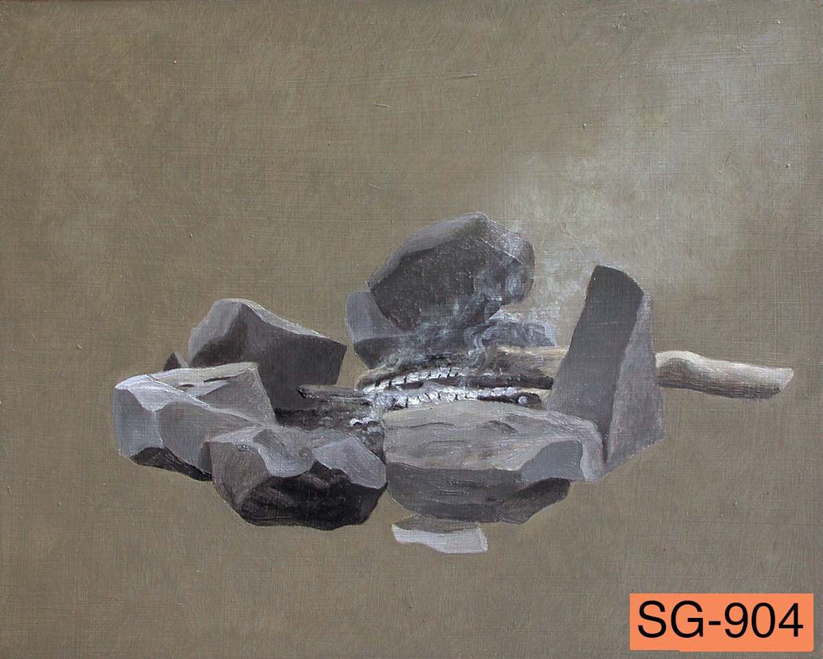 Smoldering Campfire by Spence Guerin 