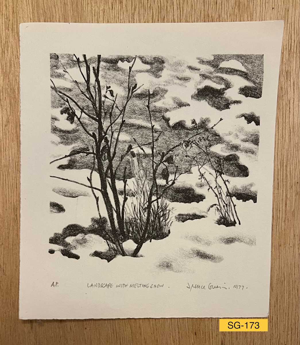 Landscape with Melting Snow #3 by Spence Guerin 