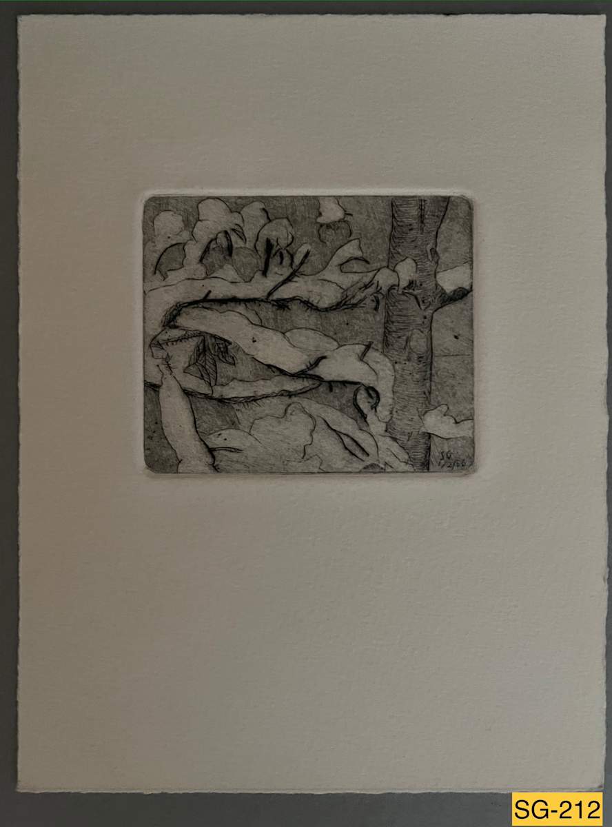 Winter, Sitka Rose, Birch #1 by Spence Guerin 