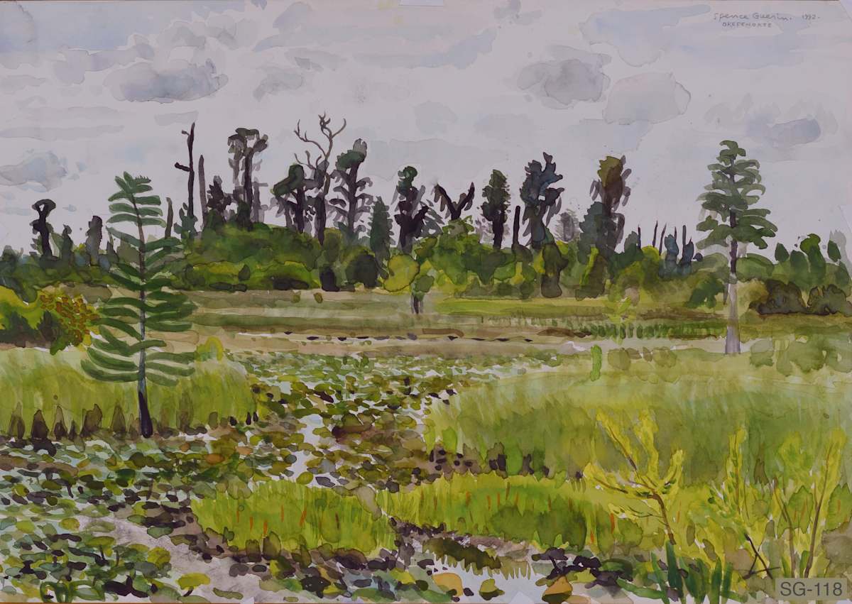 Okefenokee by Spence Guerin 