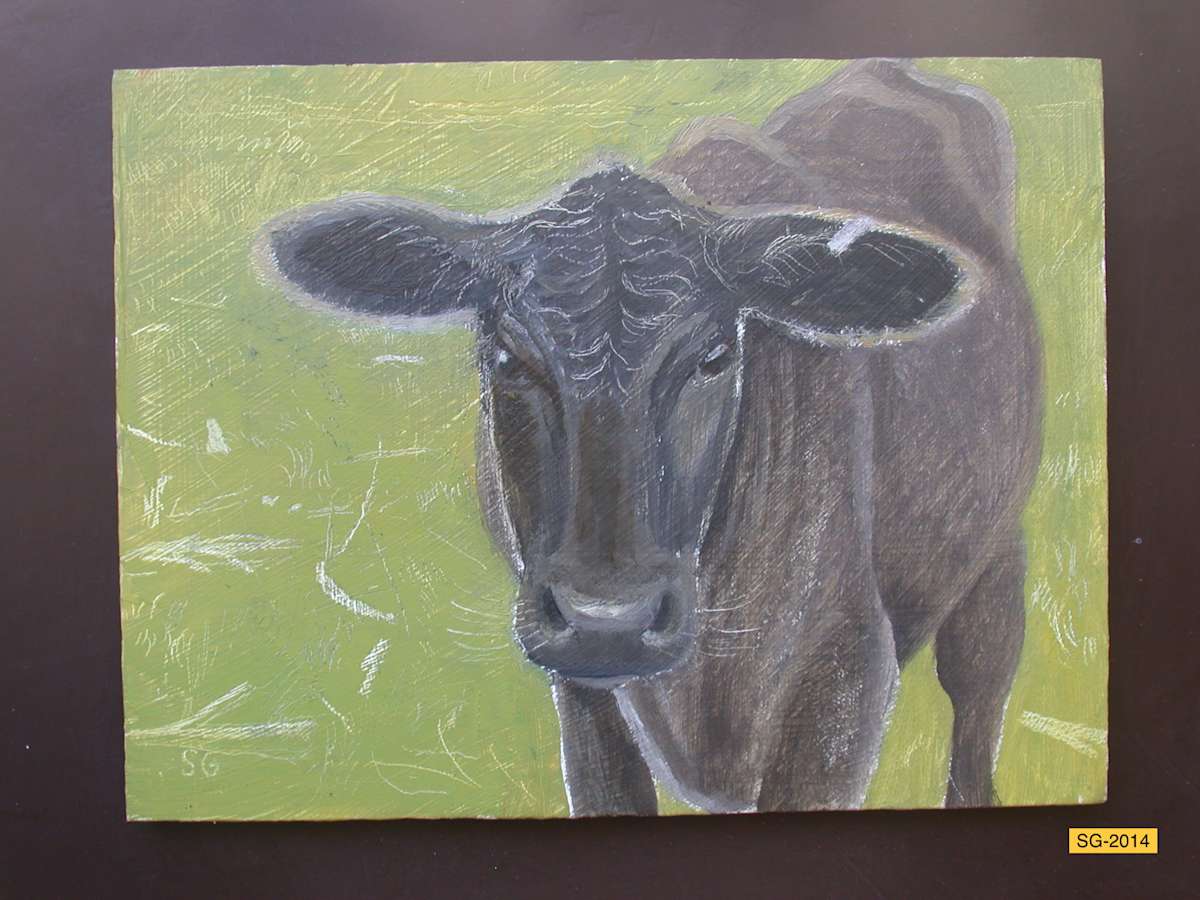 Young Bull Calf by Spence Guerin 
