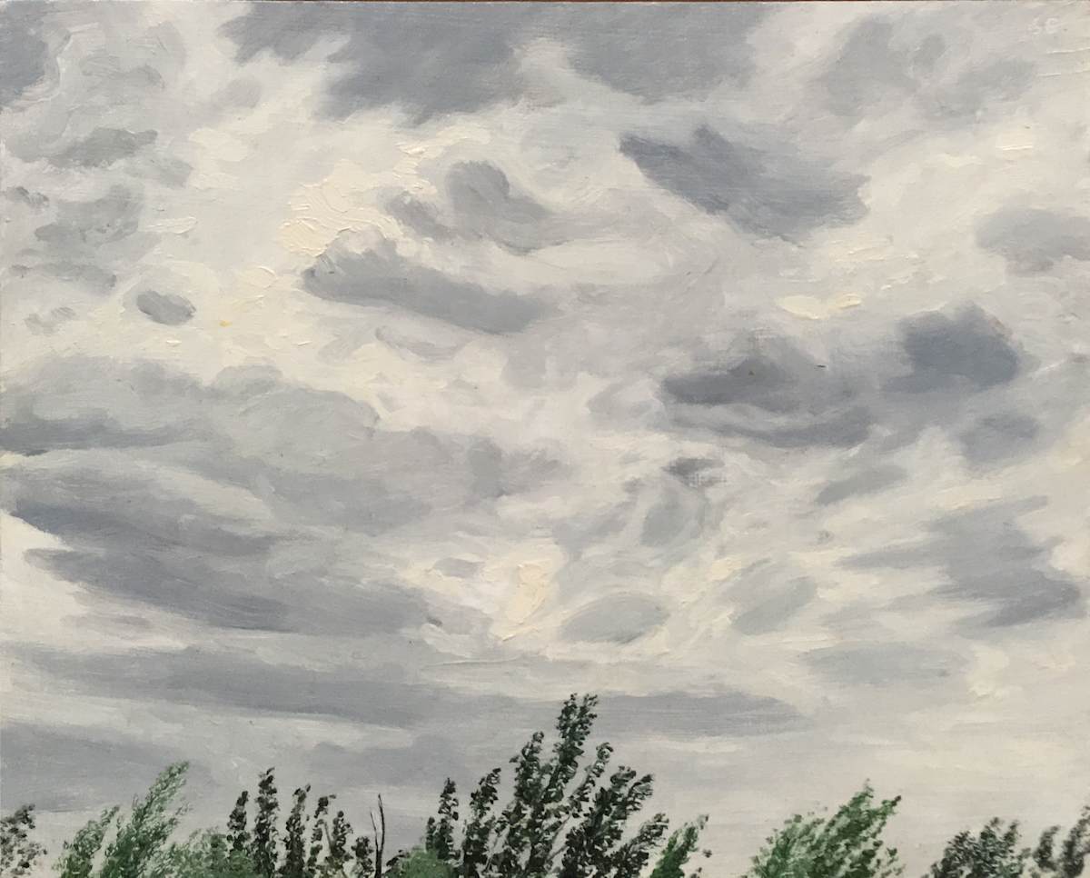 Windy Sky Treetops by Spence Guerin 