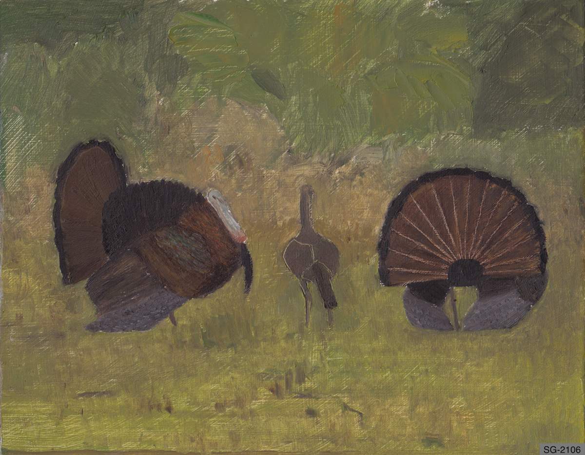 Wild Turkey Courtship by Spence Guerin 