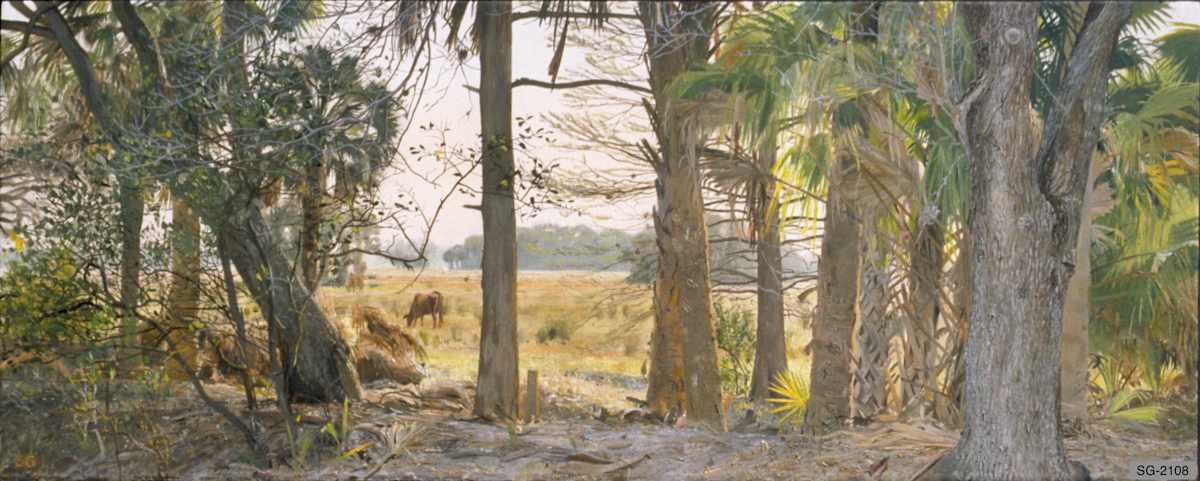 Fence Line Trees Pasture Evening by Spence Guerin 