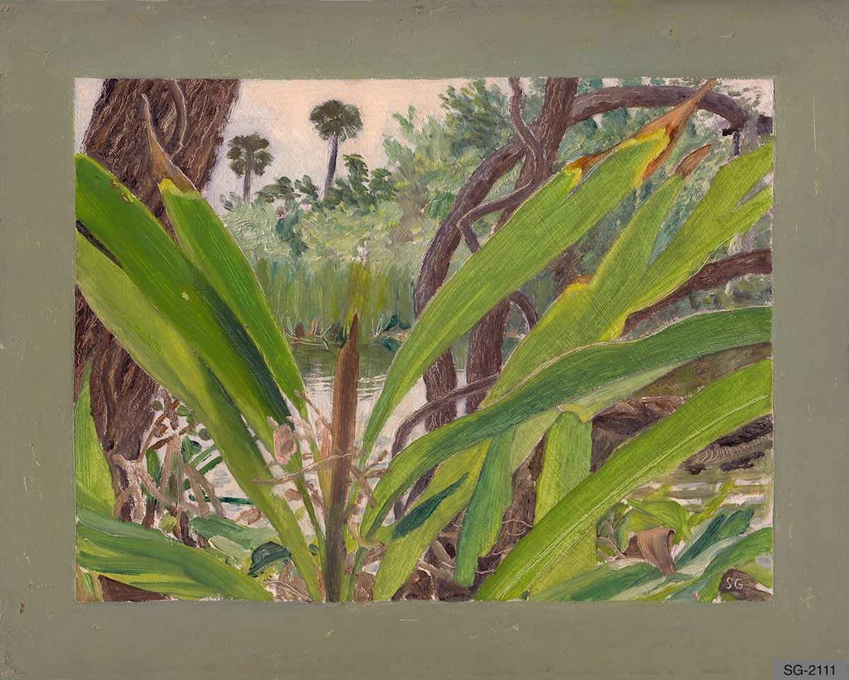 Crane Creek Hammock by Spence Guerin 