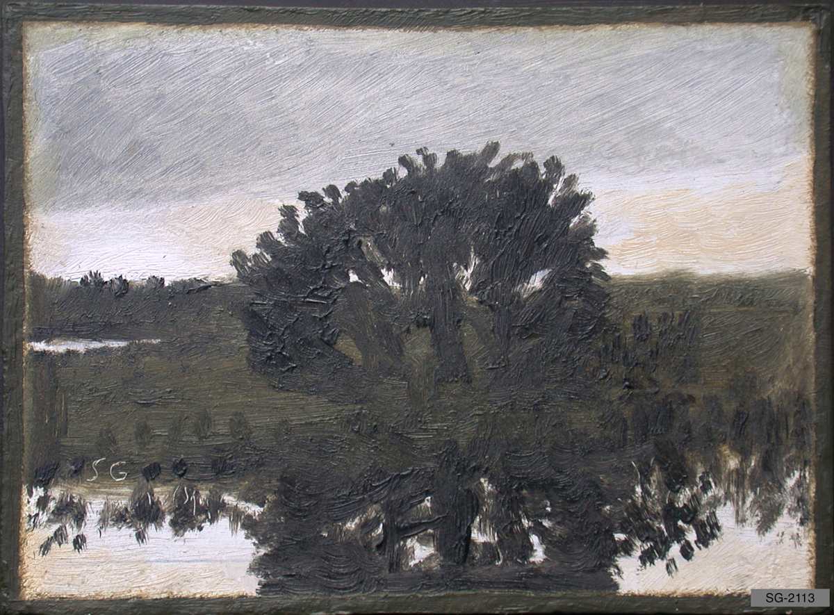 Evening Thundercloud, Cedar Tree by Spence Guerin 