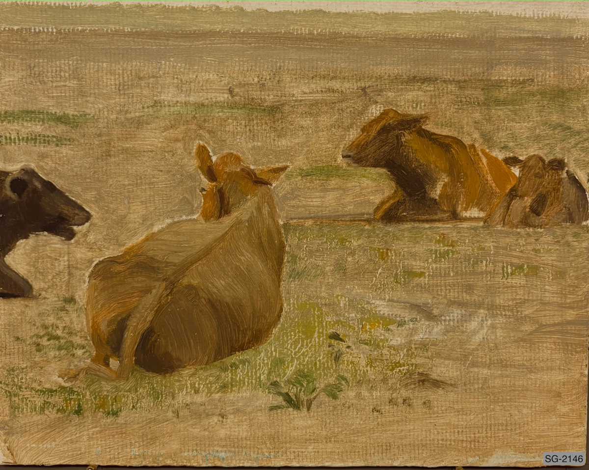 Sean's Cows by Spence Guerin 