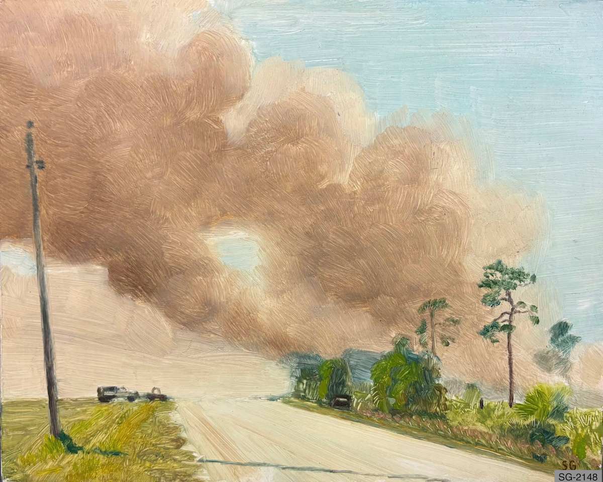 Controlled Burn by Spence Guerin 