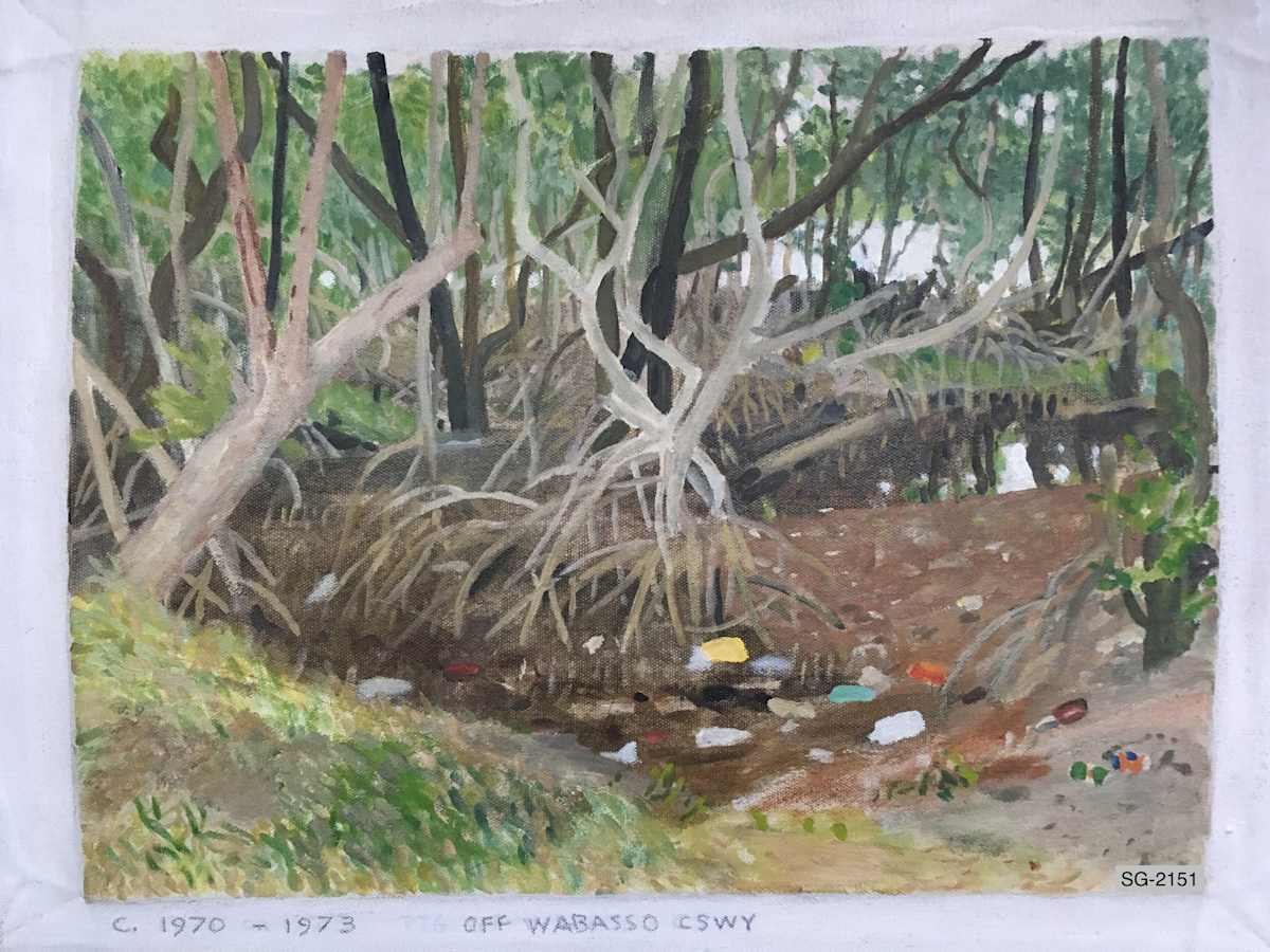 Mangroves Off Wabasso Causeway by Spence Guerin, Image 1.