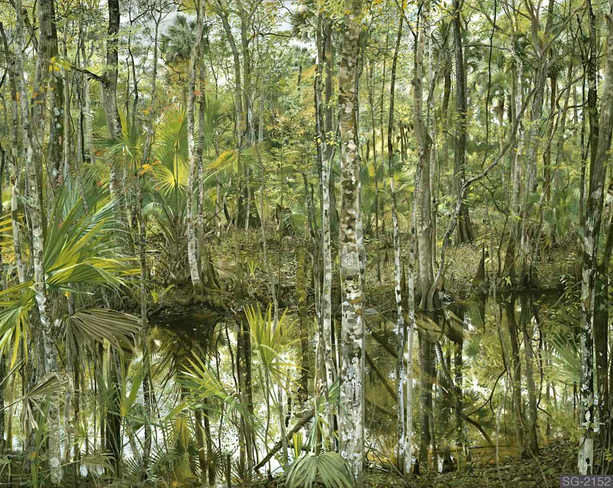 Tootoosahatchee by Spence Guerin, Image 1.