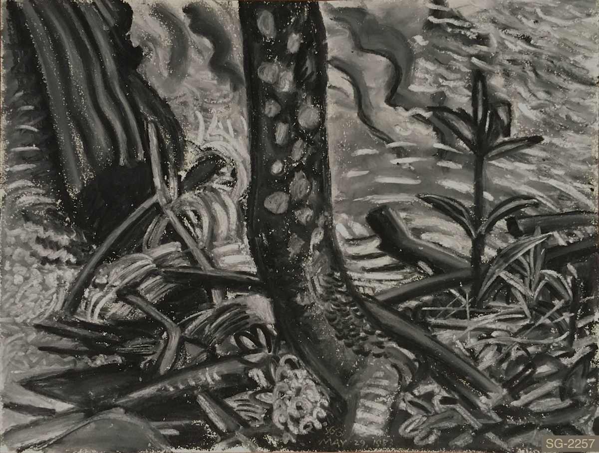 Mountain Stream by Spence Guerin, Image 1.