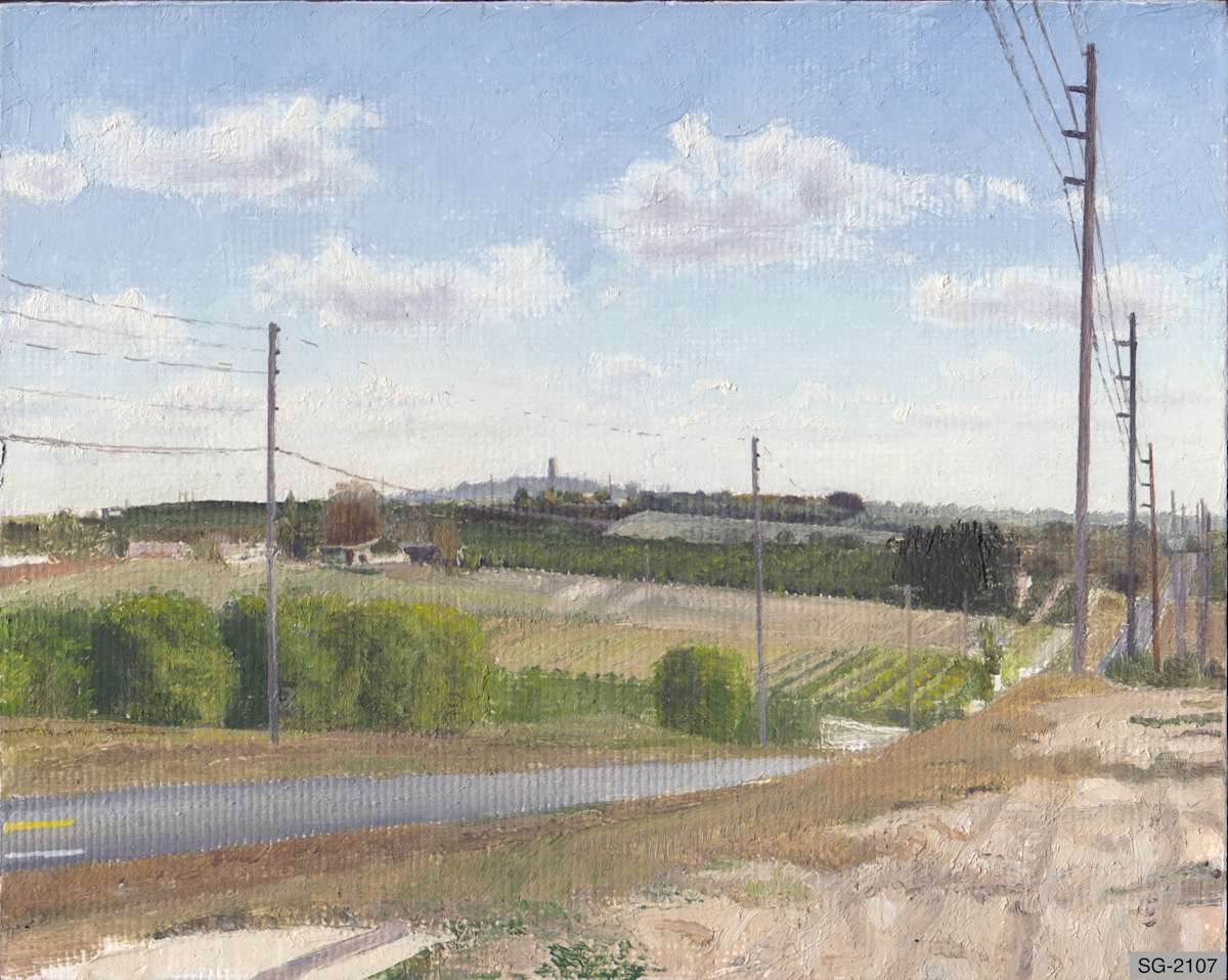 View of Bok Tower by Spence Guerin 