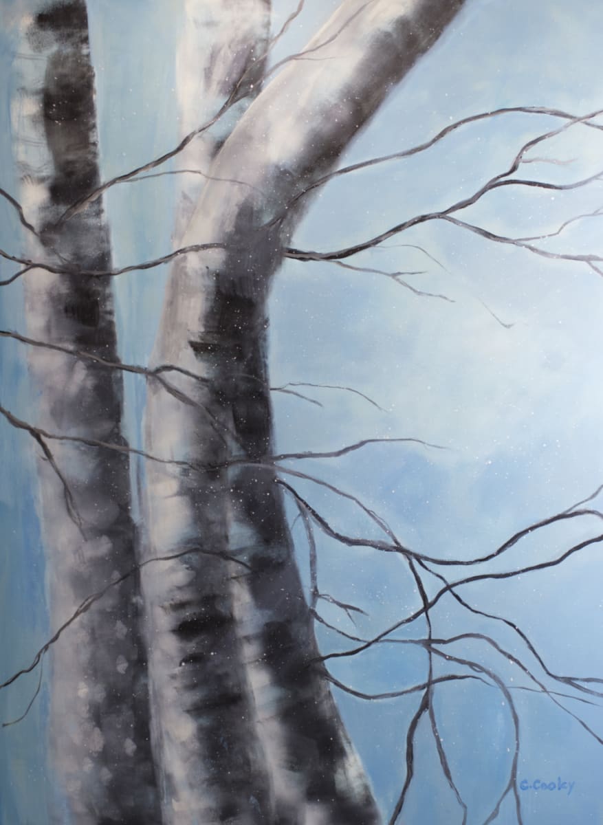 Braced by Christina Cooley 