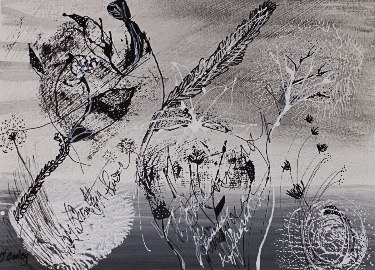 Dawn by Christina Cooley 