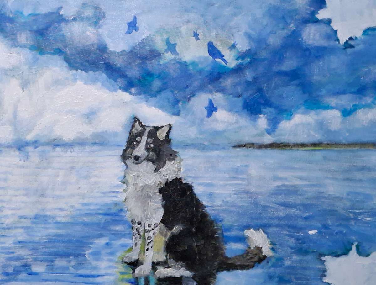 Border Collie's Costal comtemplation by Yvonne Cavens  Image: Sometimes early in the morning when the sand wet, snd its a sunny day, eith a btight nlue sky, you have this effect where it looks as if there is no difference between water and sea. That is what inspired me.