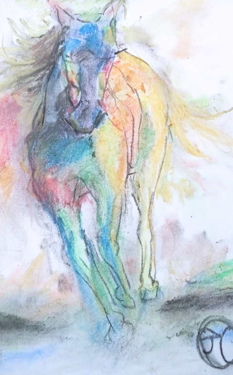 Multi colour Horse by Yvonne Cavens 