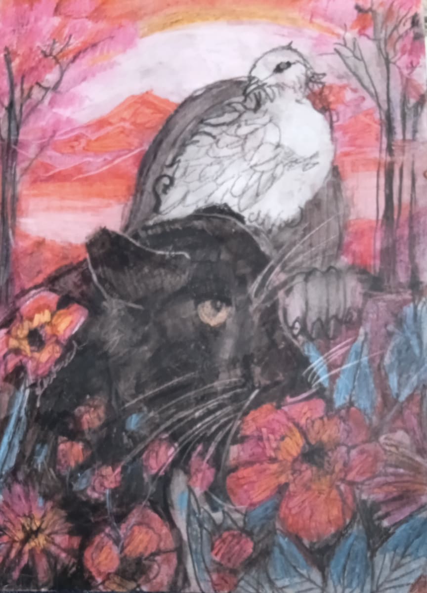 The Puma and The dove by Yvonne Cavens, Image 1.