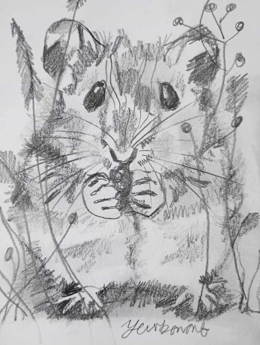 Inquisitive eyes( miniature) by Yvonne Cavens, Image 1.