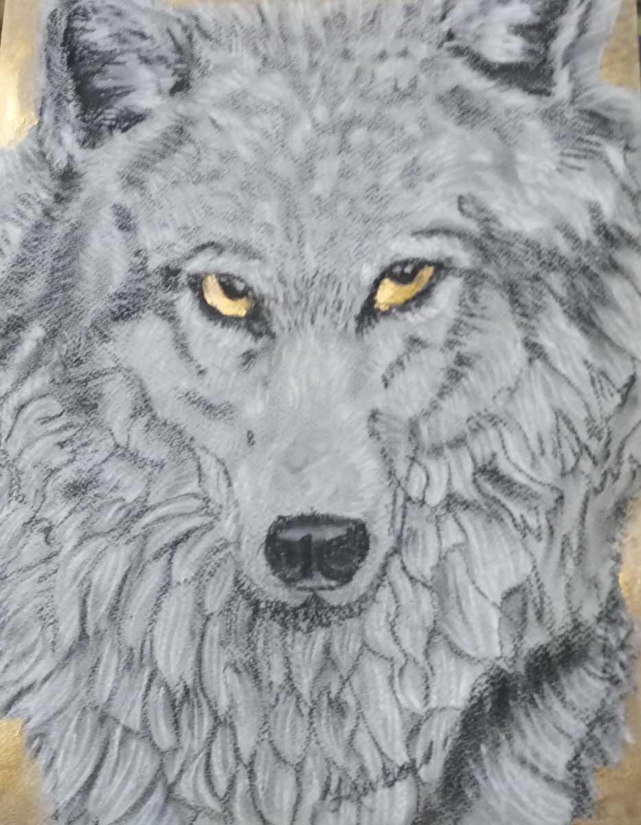 Golden wolf by Yvonne Cavens, Image 16.