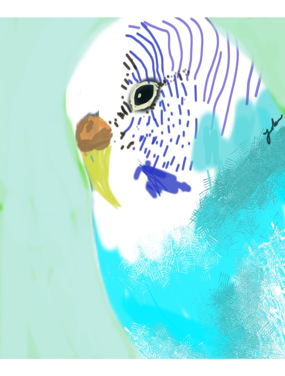 Miss Blue Budgie by Yvonne Cavens 