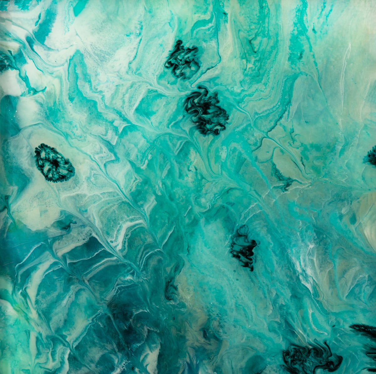 Jelly Fish by Holly Diann Harris  Image: Framed original currently available.  Metal or acrylic prints to order. Please contact the artist.