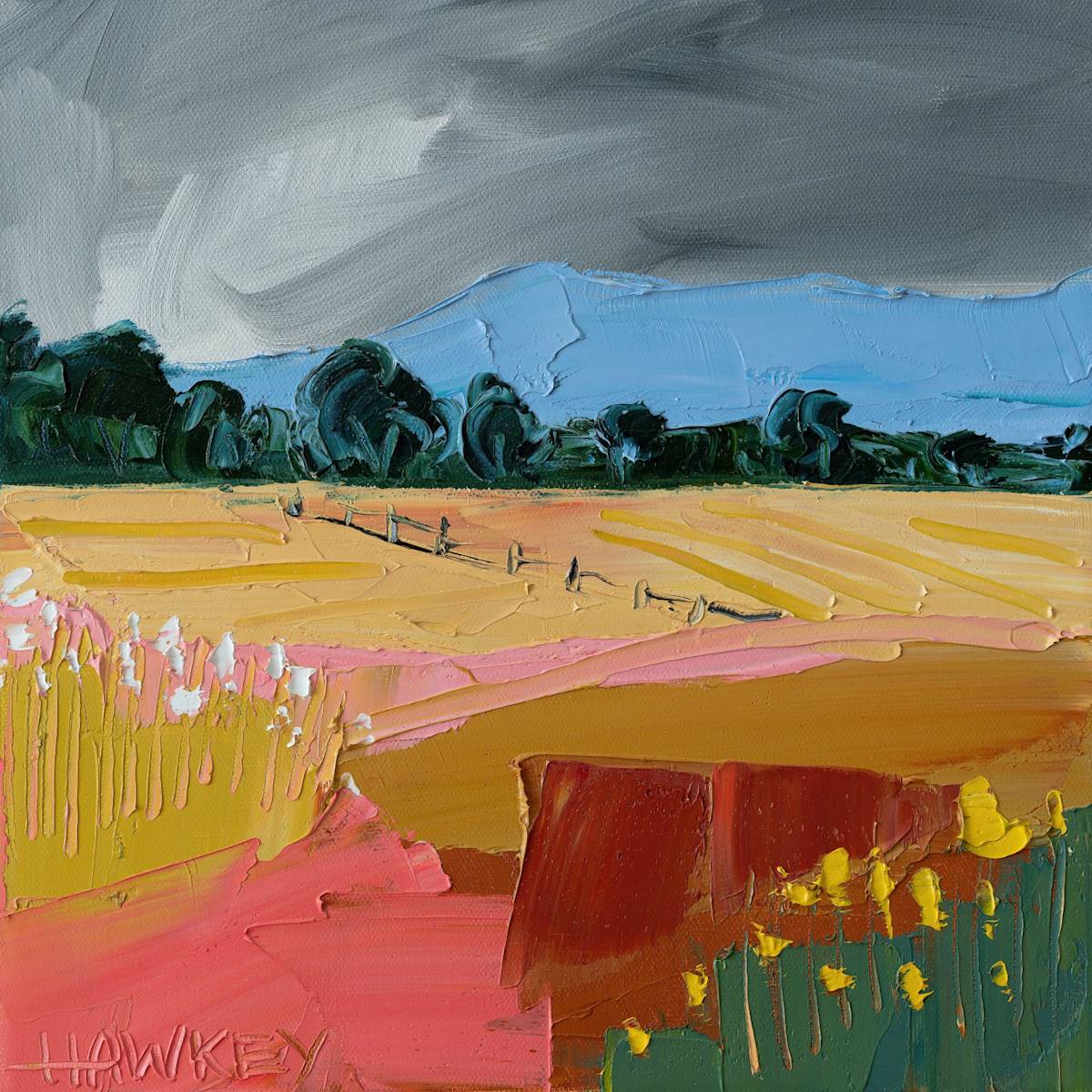 Cloud Cover by angela Hawkey 