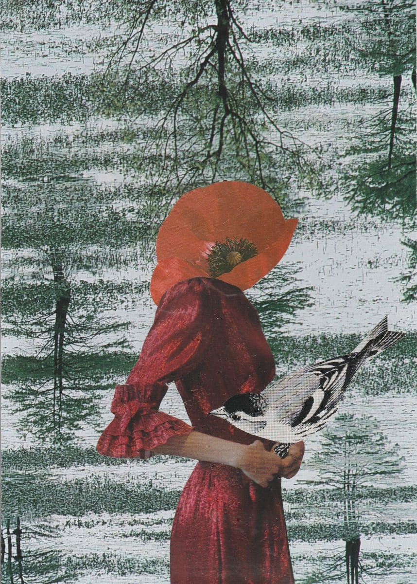 But not lonely by Sandra Gea 