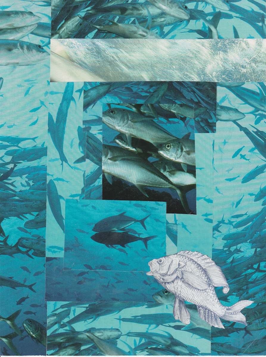 Plenty by Sandra Gea, Image 1.