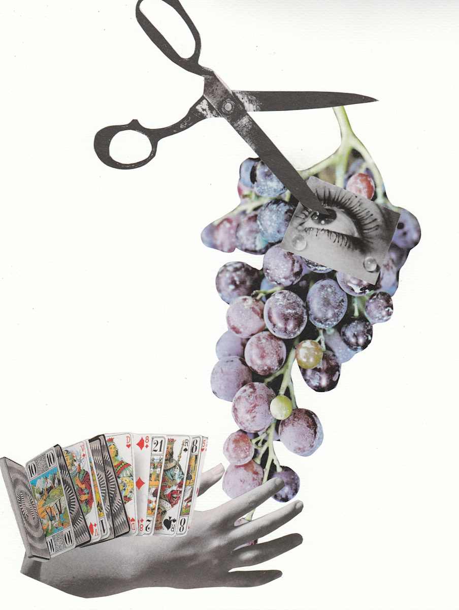 You reap what you saw by Sandra Gea 