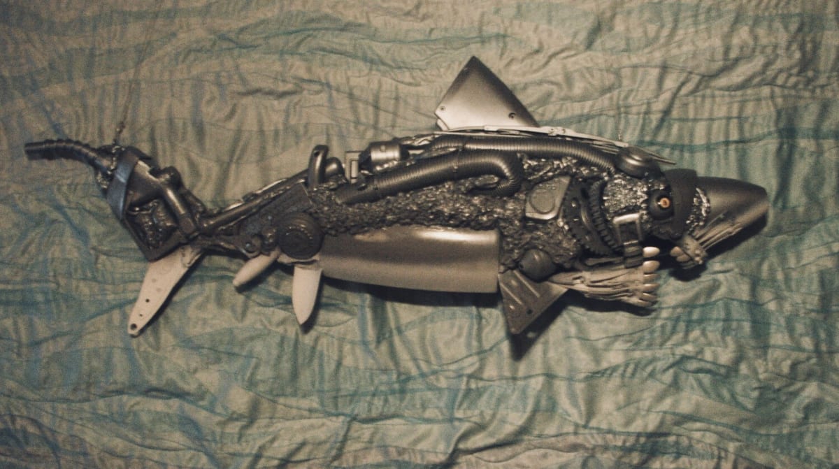 Trout by Alex Brochon, Image 1.
