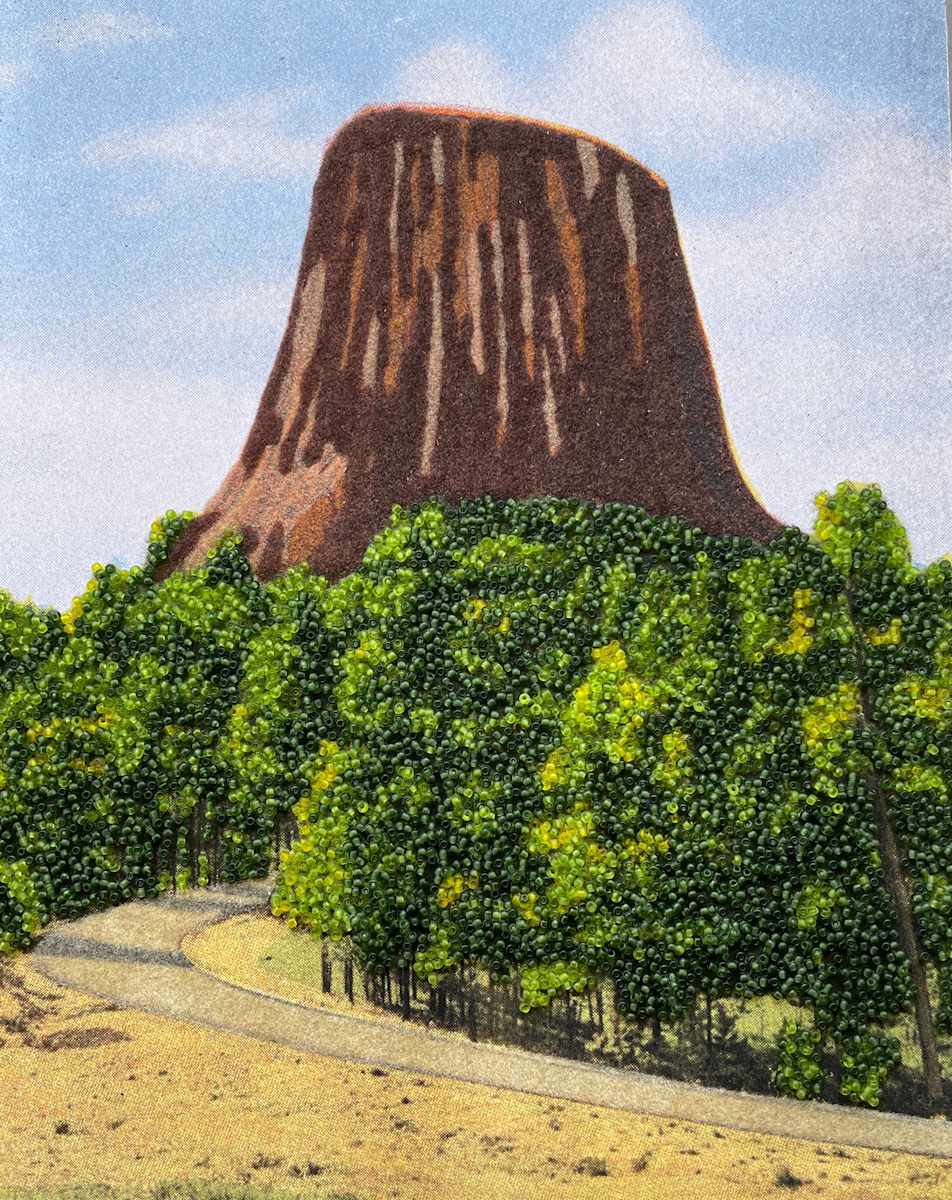 Black Hills Devil by Mary Jo Karimnia, Image 1.