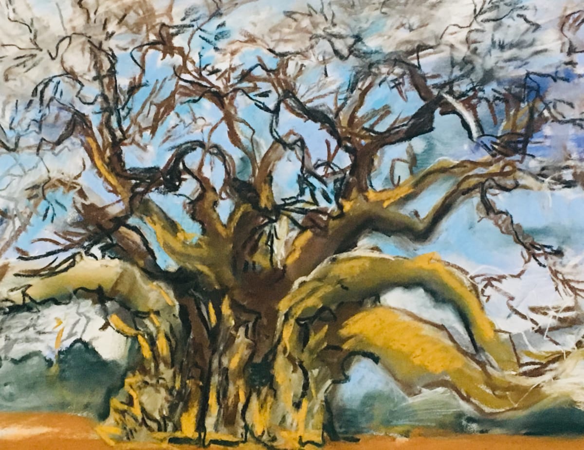 Winter Baobab by Gay P Cox 