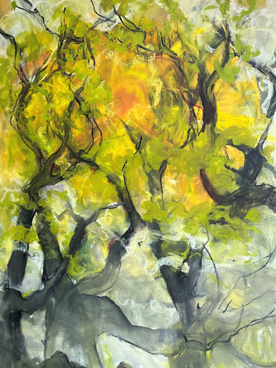 Trees Dancing the Dawn by Gay P Cox, Image 1.