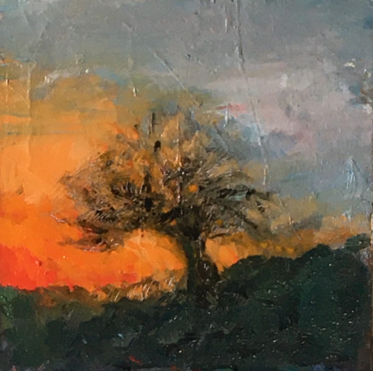 Flaming Dawn by Gay P Cox, Image 2.