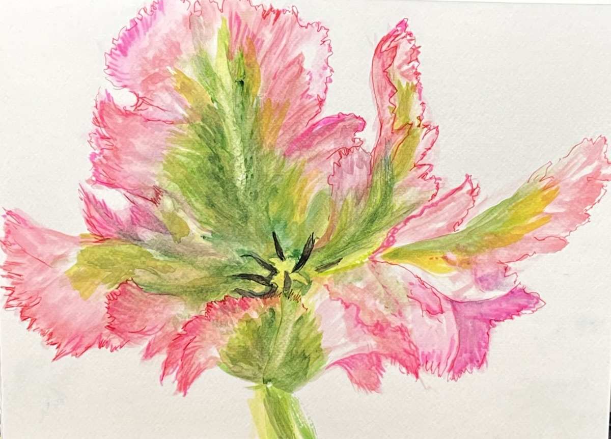 Spring Frills by Gay P Cox, Image 1.